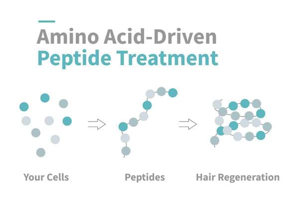 Amino Acids-Driven Peptide Treatment